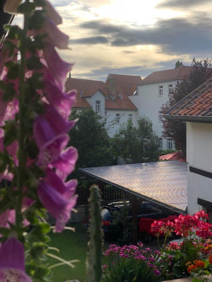Am Mathildenbrunnen Gross Daire Quedlinburg Dış mekan fotoğraf